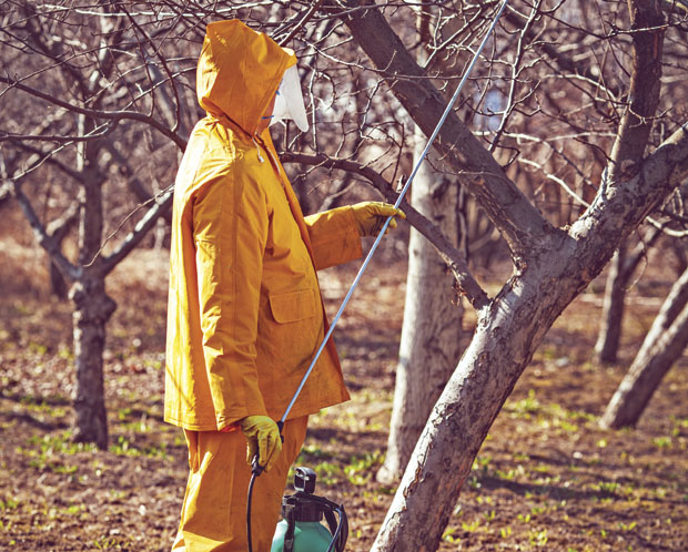 Зашто је у воћњаку битан брзи старт?